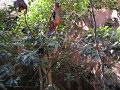 IMG_0707