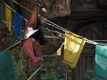 IMG_0710