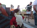 IMG_0731