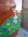 IMG_0737