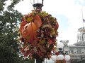 IMG_0749