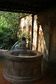 IMG_3517