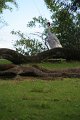 IMG_3541