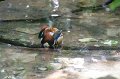 IMG_3545