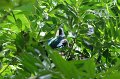 IMG_3546