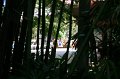IMG_3551