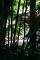 IMG_3552