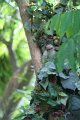 IMG_3562