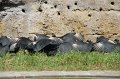 IMG_3573