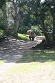 IMG_3582