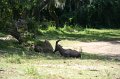 IMG_3594