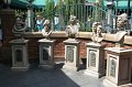 IMG_3640