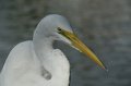 IMG_3673