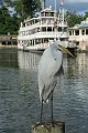 IMG_3676