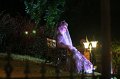 IMG_3717