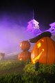 IMG_3790