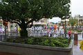 IMG_3796