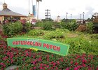 IMG 1574