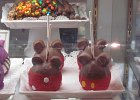IMG 1593