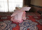 IMG 1625