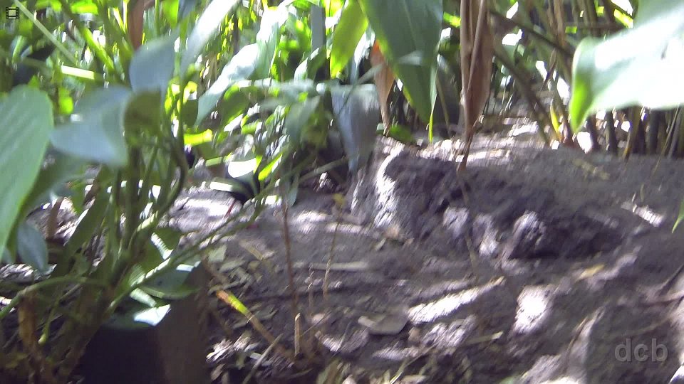 GOPR0189