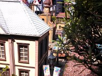 DSC 0006
