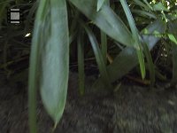 GOPR0188