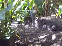 GOPR0189