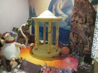 IMG 2759