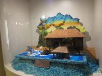 IMG 2767