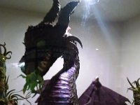 IMG 20141020 171228670