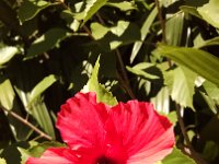 IMG 20141023 152114221