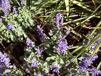 IMG 20141024 100219898 HDR