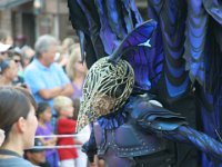 IMG 5548