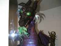 IMG 5582