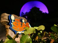 IMG 5591