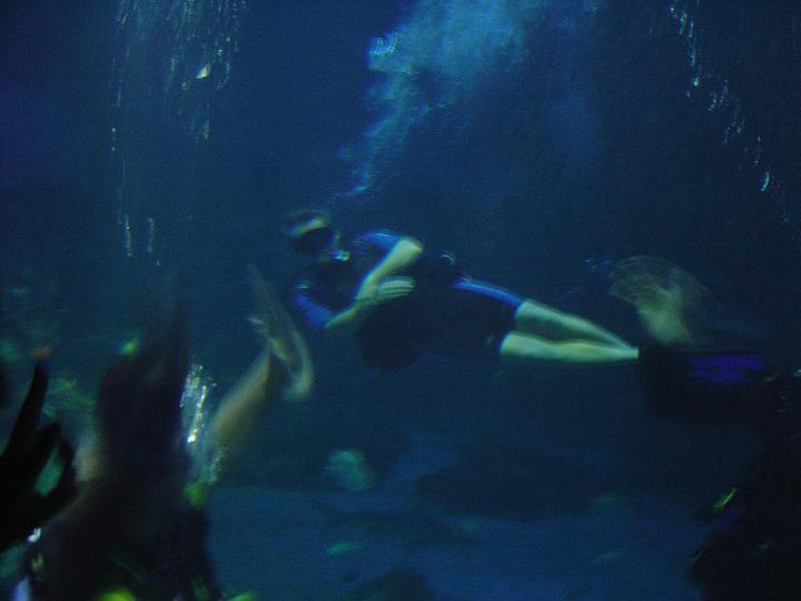 DSC00716.JPG