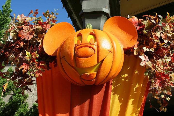 IMG_0193.JPG