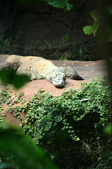 IMG_0419.JPG