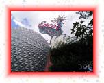 M0010583 * 2592 x 1944 * (1.89MB)
