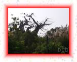 M0010663 * 2592 x 1944 * (1.84MB)