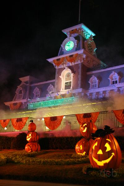 IMG_2454.JPG