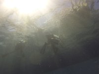 GOPR0383