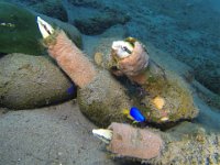 GOPR0551