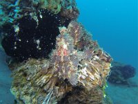 GOPR0559