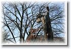 IMG_2505 * 3456 x 2304 * (6.37MB)