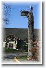 IMG_2506 * 2304 x 3456 * (4.74MB)