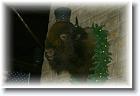 IMG_2513 * 3456 x 2304 * (3.31MB)